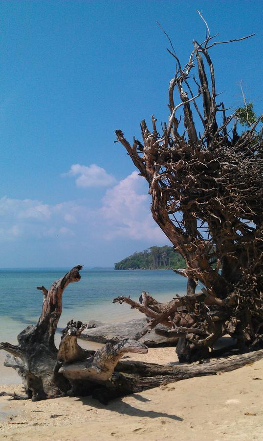 Pellicon Beach Resort Havelock island Luaran gambar