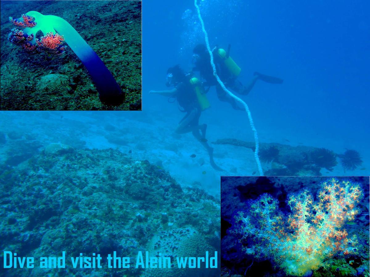 Pellicon Beach Resort Havelock island Luaran gambar